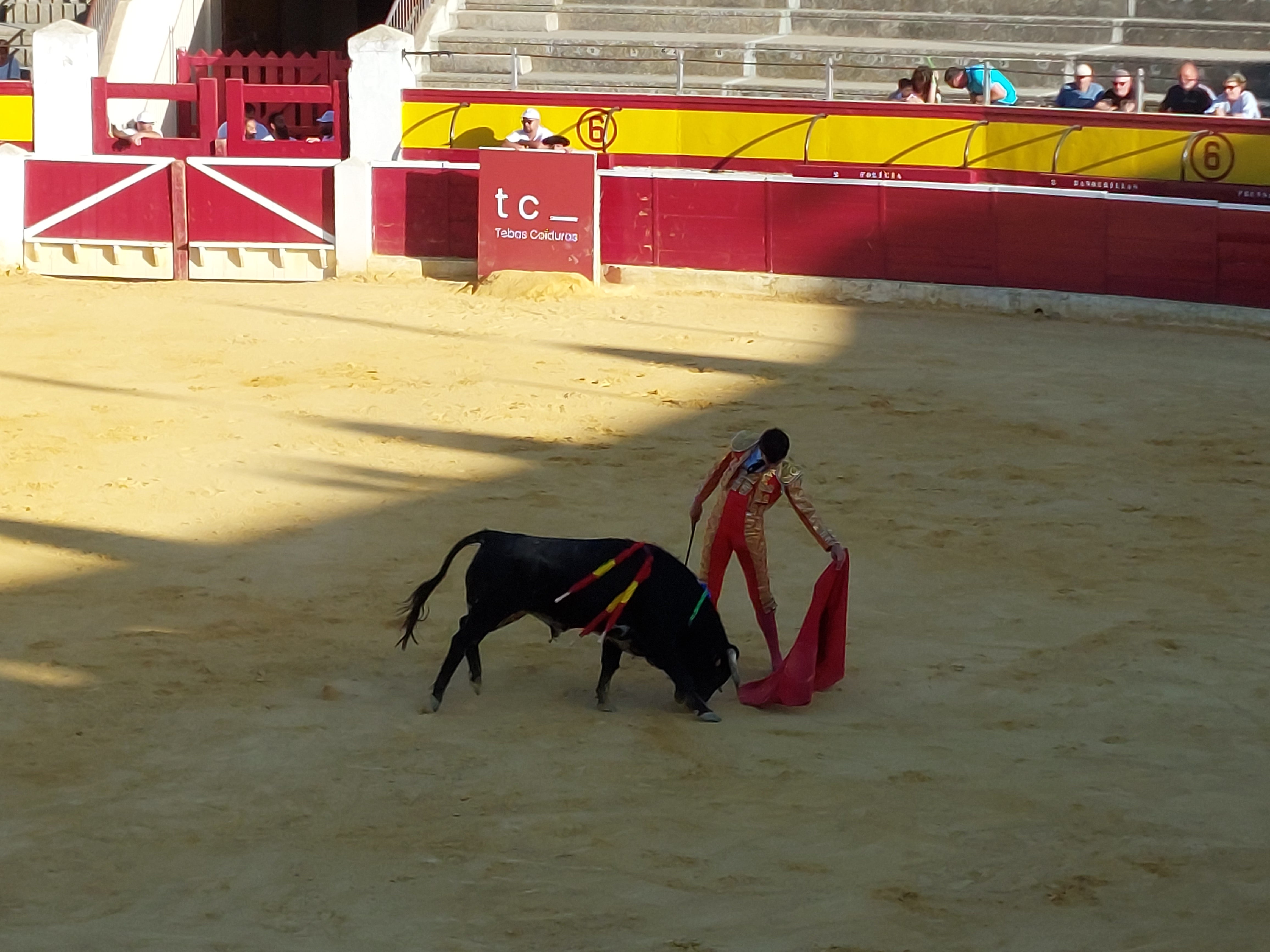 Imagenes de la novillada celebrada en Huesca