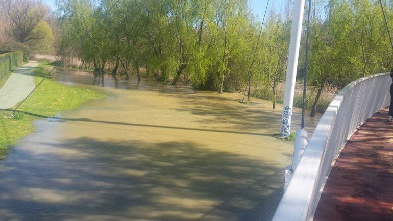 Imagen del río Carrión a su paso por la ciudad