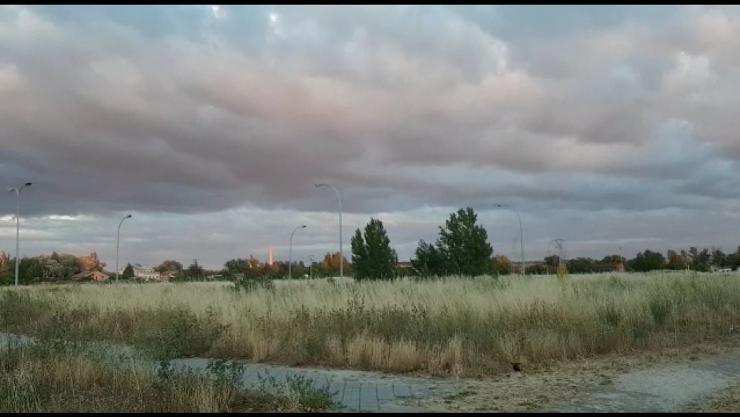 Terrenos destinados a la construcción del nuevo hospital de Aranda