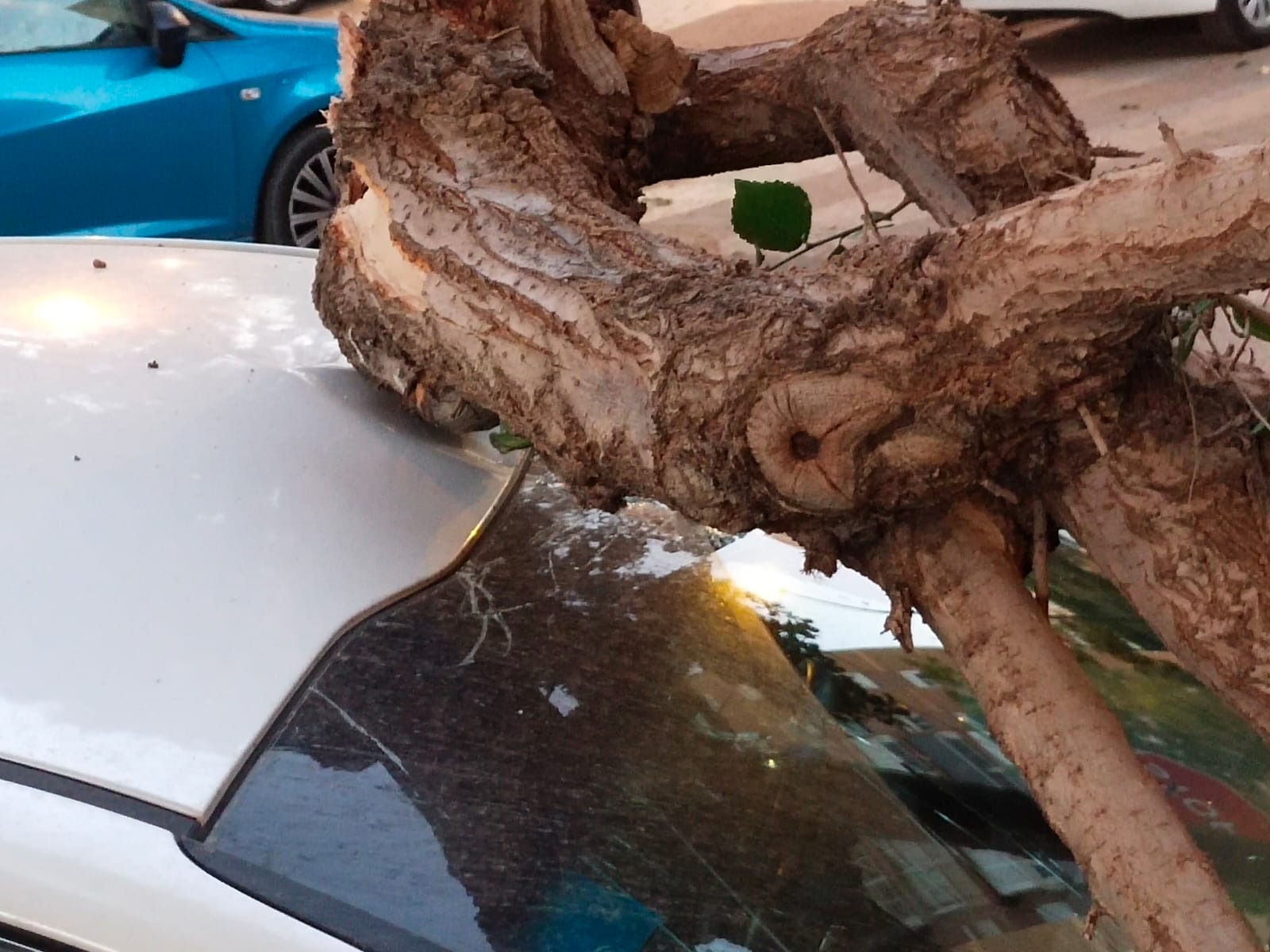 En el vehículo no se encontraba nadie en el momento del desplome