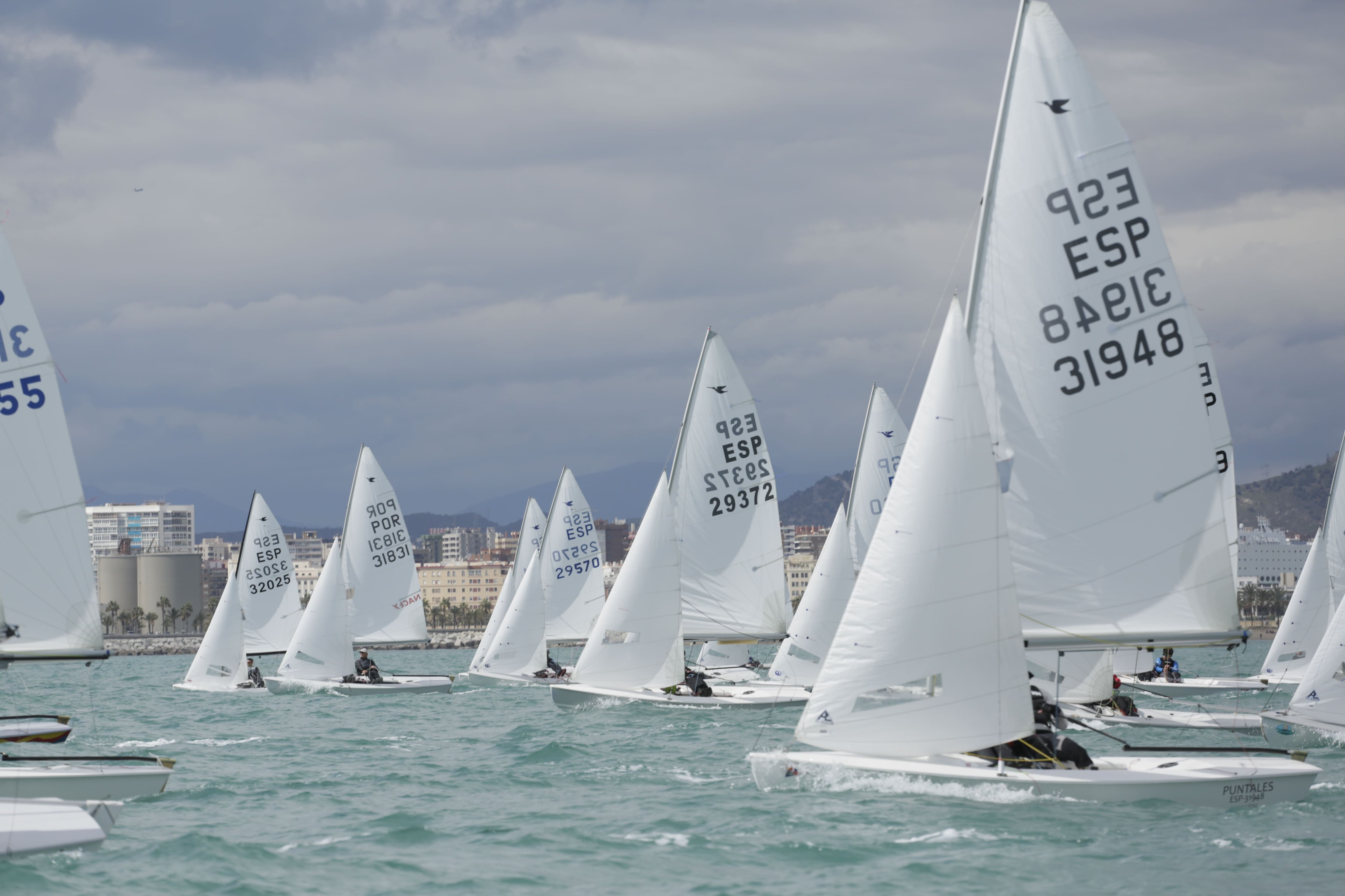 El Real Club Mediterráneo organizador del Trofeo S.M. el Rey–Copa de Andalucía de la clase Snipe–Memorial Martín Wizner – Trofeo Diario SUR