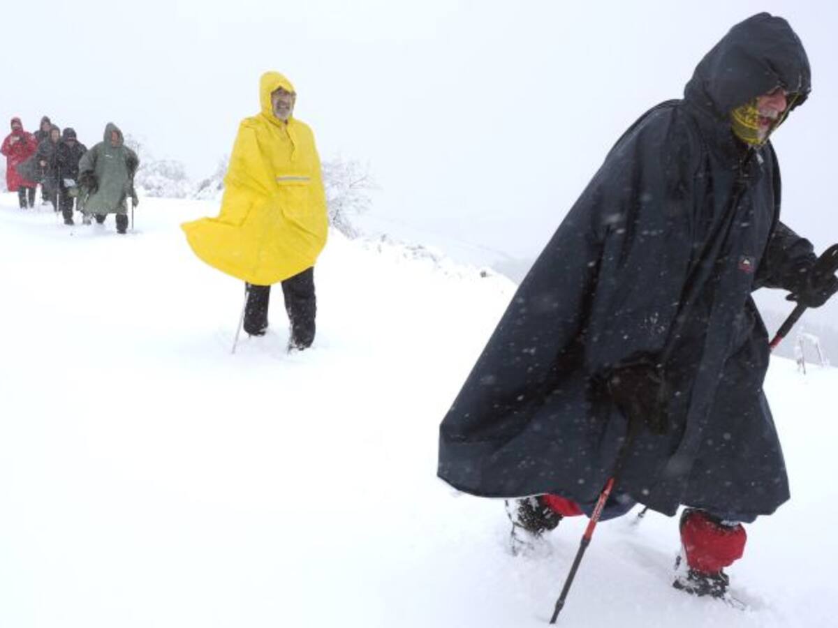 Los efectos de la llegada del frío