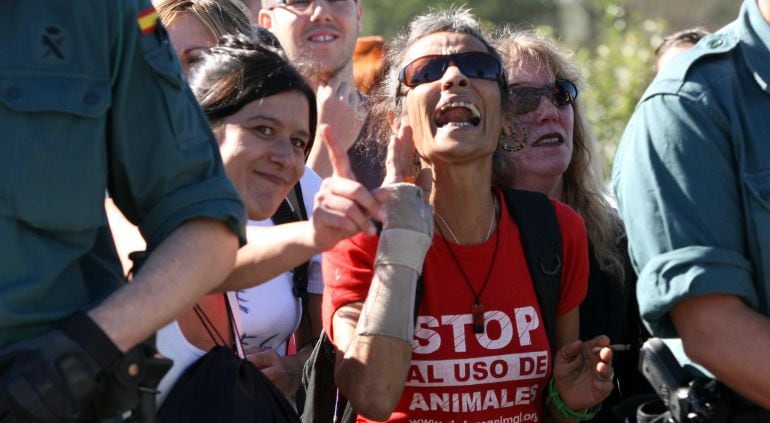 Manifestantes en el Toro de la Vega 2013