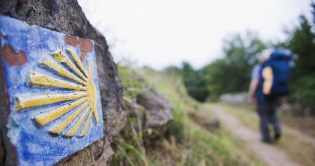 Camino de Santiago