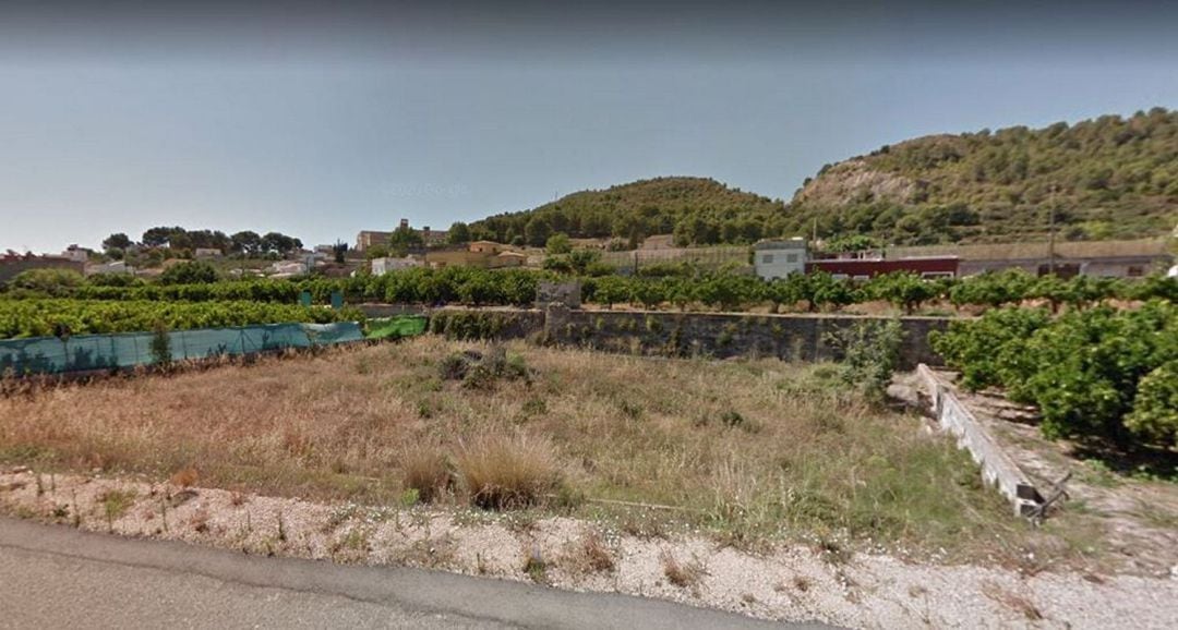 Parcela de cultivo abandonada en Oliva