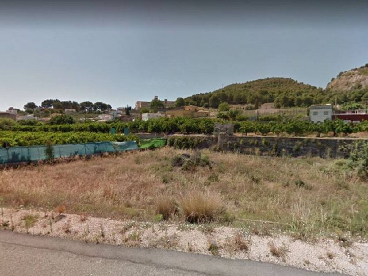 Oliva busca una solución para las más de 5.600 parcelas agrícolas que no producen nada