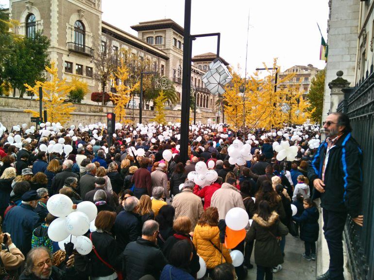 Manifestación por una sanidad digna del 27N.