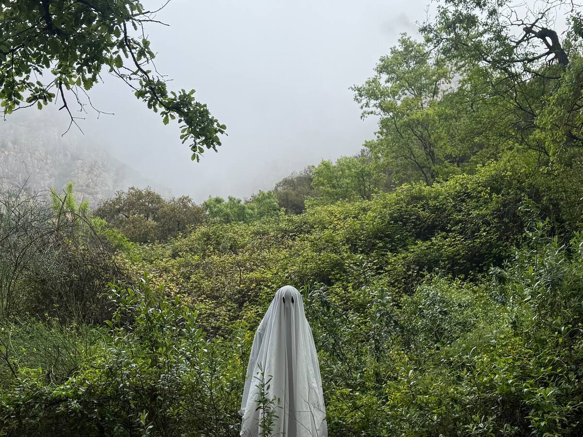 Ferran Palau: "tot el que vingui a partir d'ara és un regal"