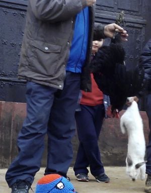 Momento del sorteo de una gallina ponedora y un conejo