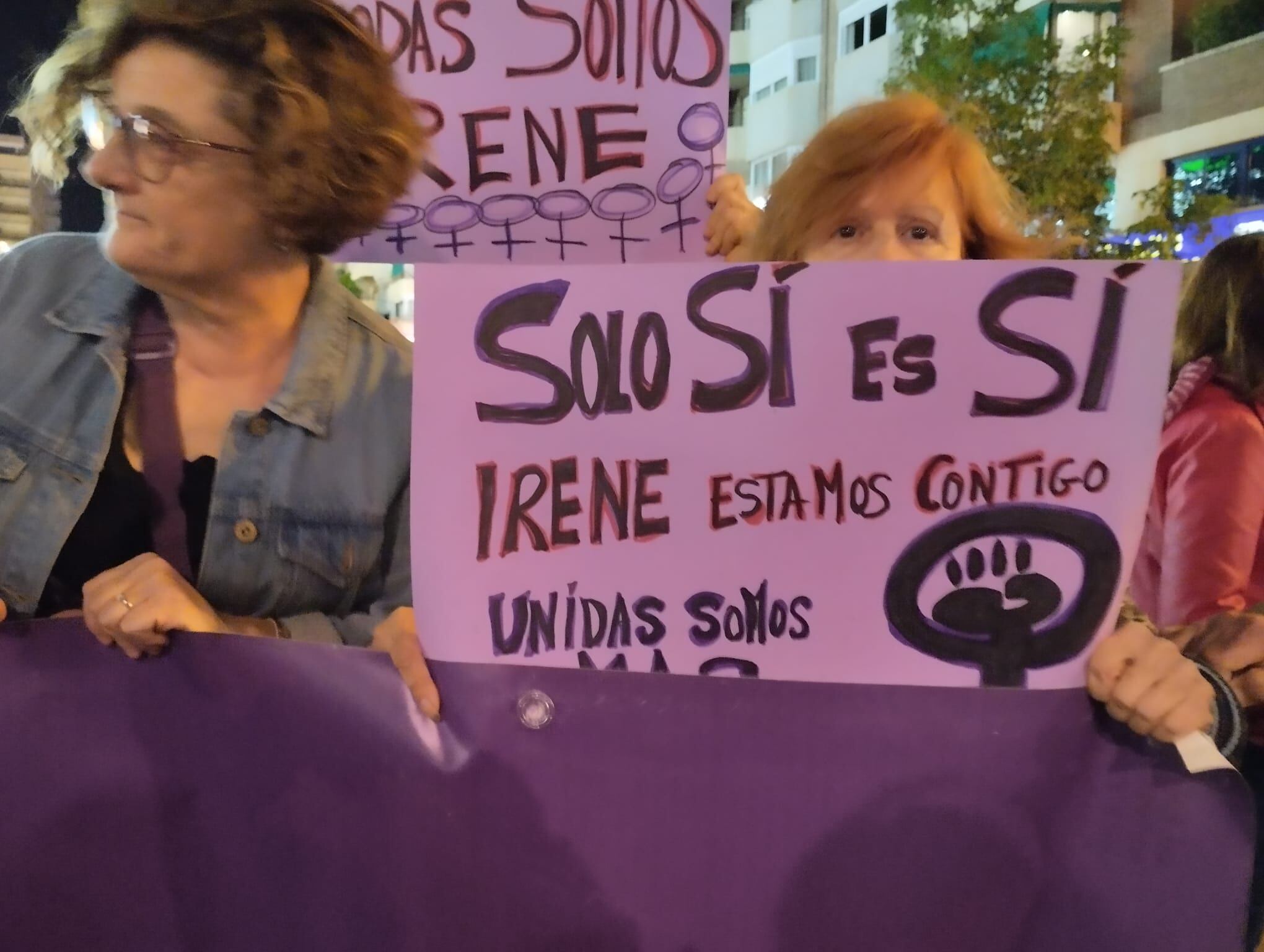 Carteles de apoyo a la ministra de Igualdad Irene Montero en la Manifestación del 25N en Murcia