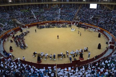 Bandas Juveniles participantes en el Guinness de la FSMCV.