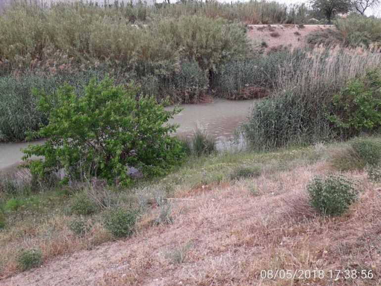 La Confederación Hidrográfica del Segura investiga dos vertidos al río Segura en Alcantarilla y Las Torres de Cotillas