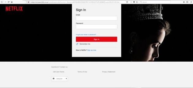 Los piratas informáticos han creado una página idéntica a Netflix para hacerse con los credenciales de los usuarios.