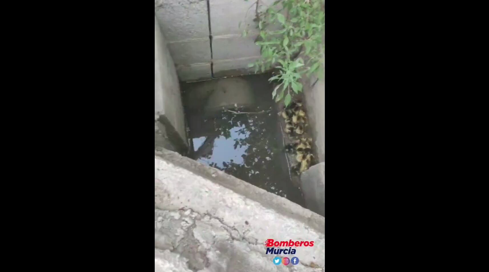 Imagen captada por el equipo de rescate de Bomberos Murcia