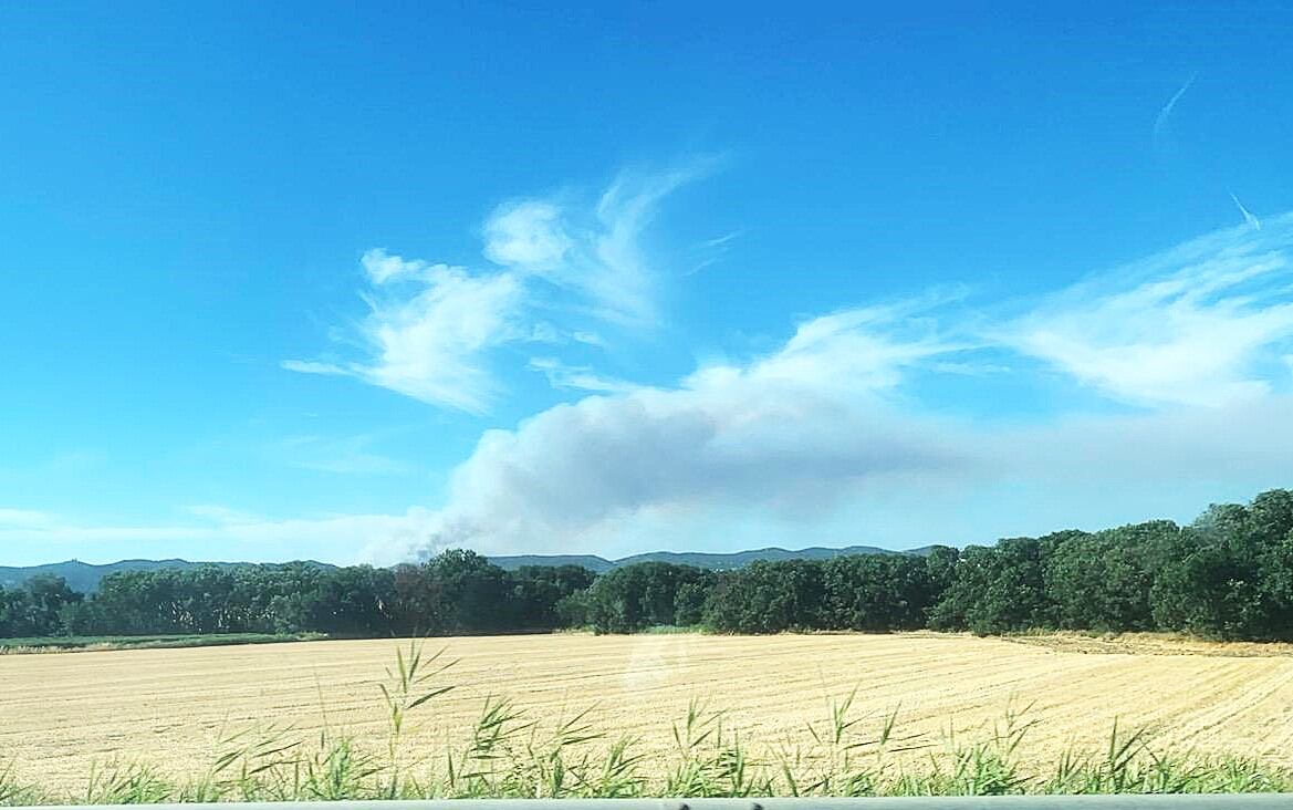 Incendio forestal en Cerro Muriano (Córdoba)