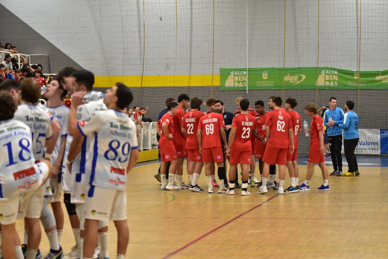 Balonmano Alcobendas - Club Cisne Colegios Los Sauces