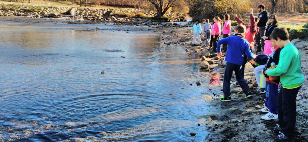 Actividades que desarrolla la Escuela de Aire Libre