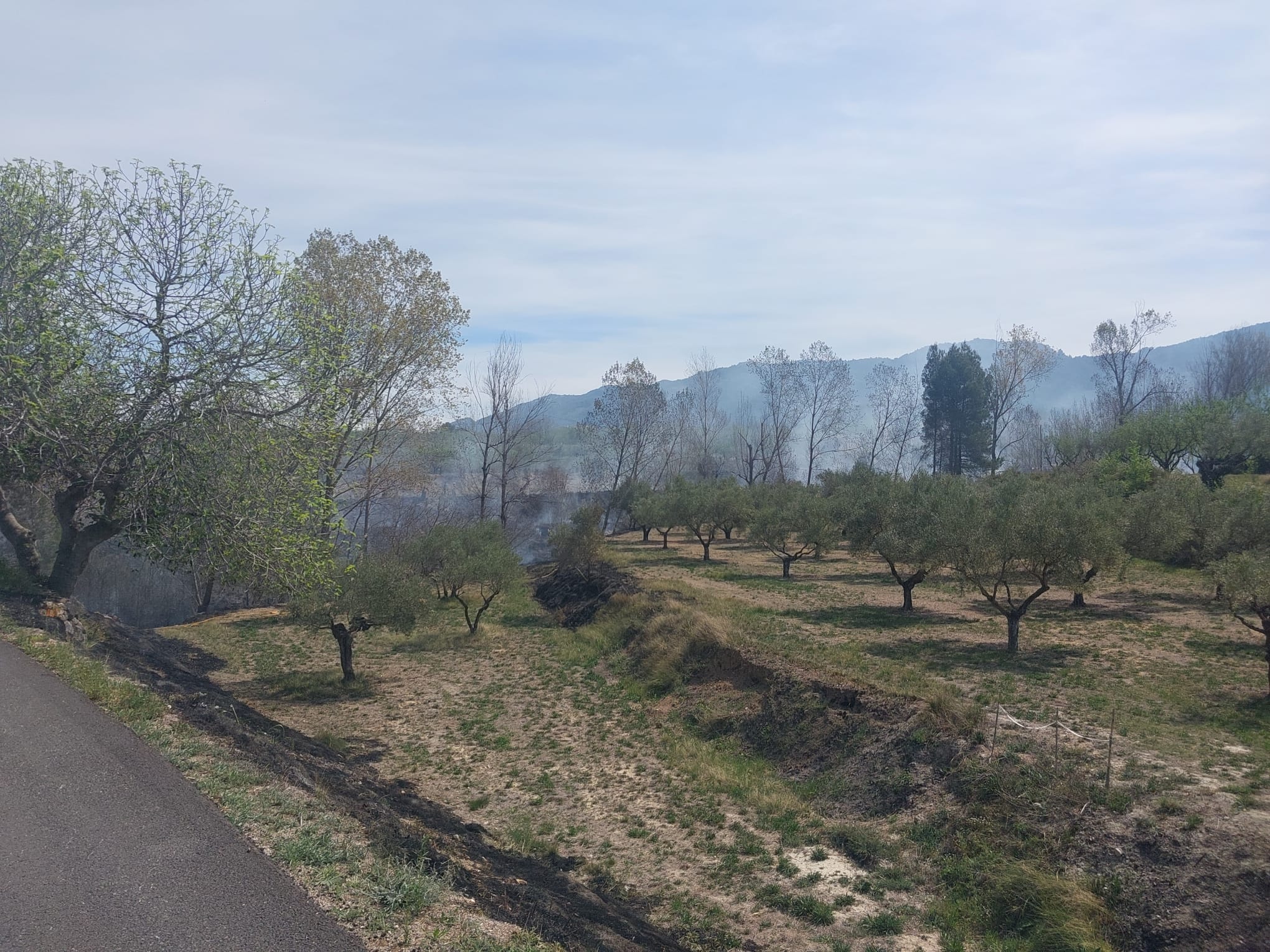 Imatge del fatídic incendi de Bocairent