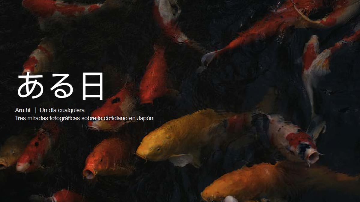 "Aru hi (ある日)": La belleza de lo cotidiano en Japón llega a Vavava Haus en A Coruña