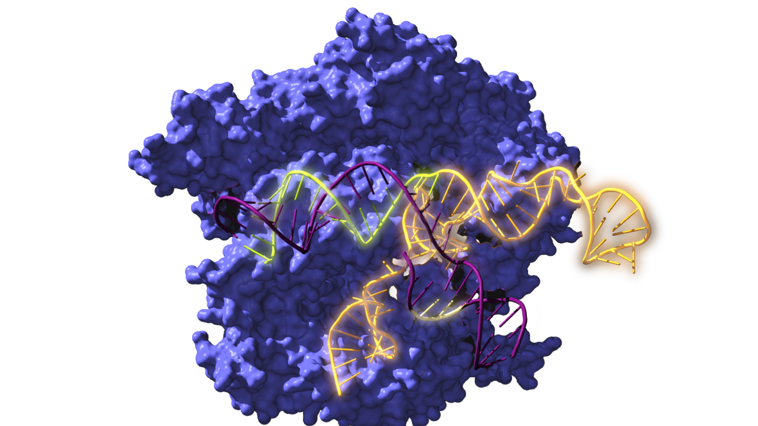 Imagen de Cas9, una enzima asociada con el sistema CRISPR, actuando sobre el ADN
