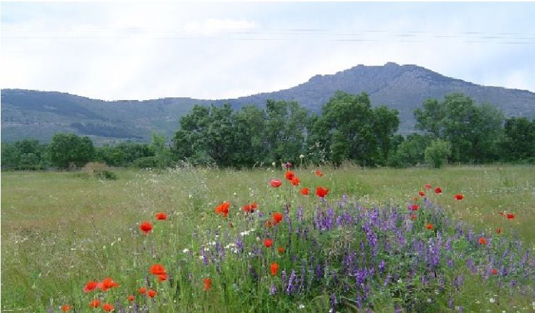 Sierra de Guadarrama