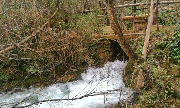 El sendero avanza en todo momento junto al río Júcar.