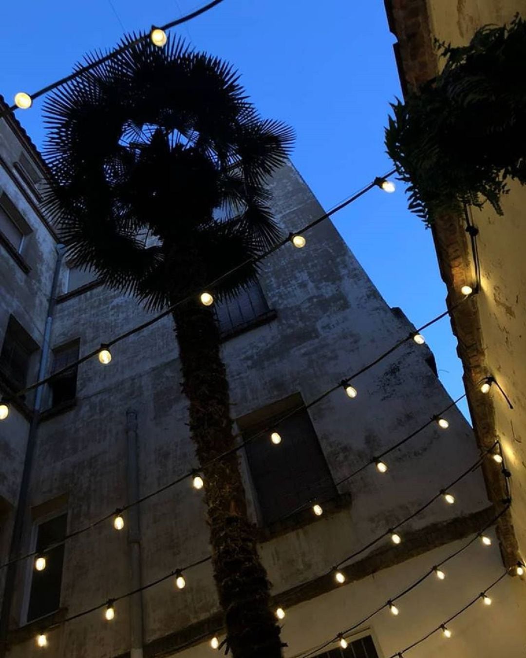 Iluminación de la terraza interior del bistró restaurante &quot;El Botánico&quot;