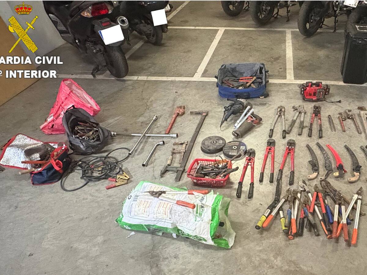 Cinco detenidos de una misma familia por varios robos en Las Pedoñeras y El Pedernoso