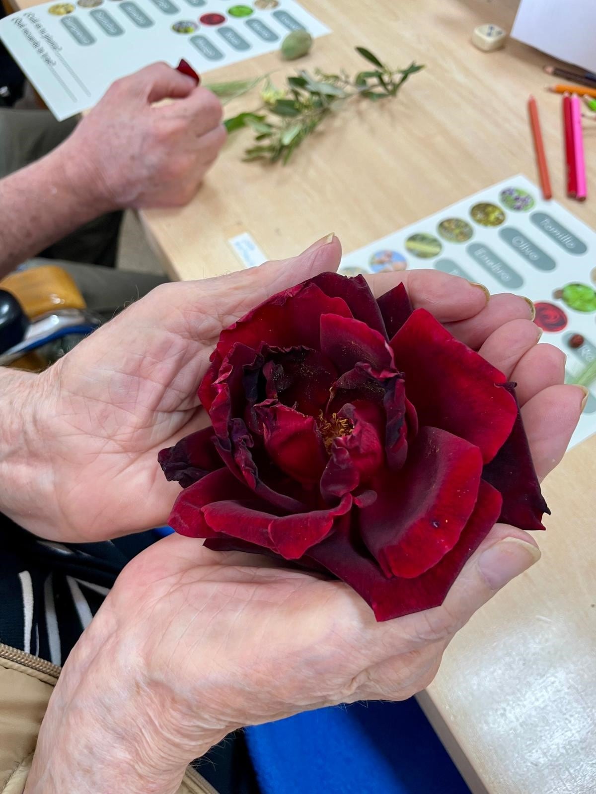 La Comarca de La Litera amplía este otoño sus actividades dirigidas a las personas mayores
