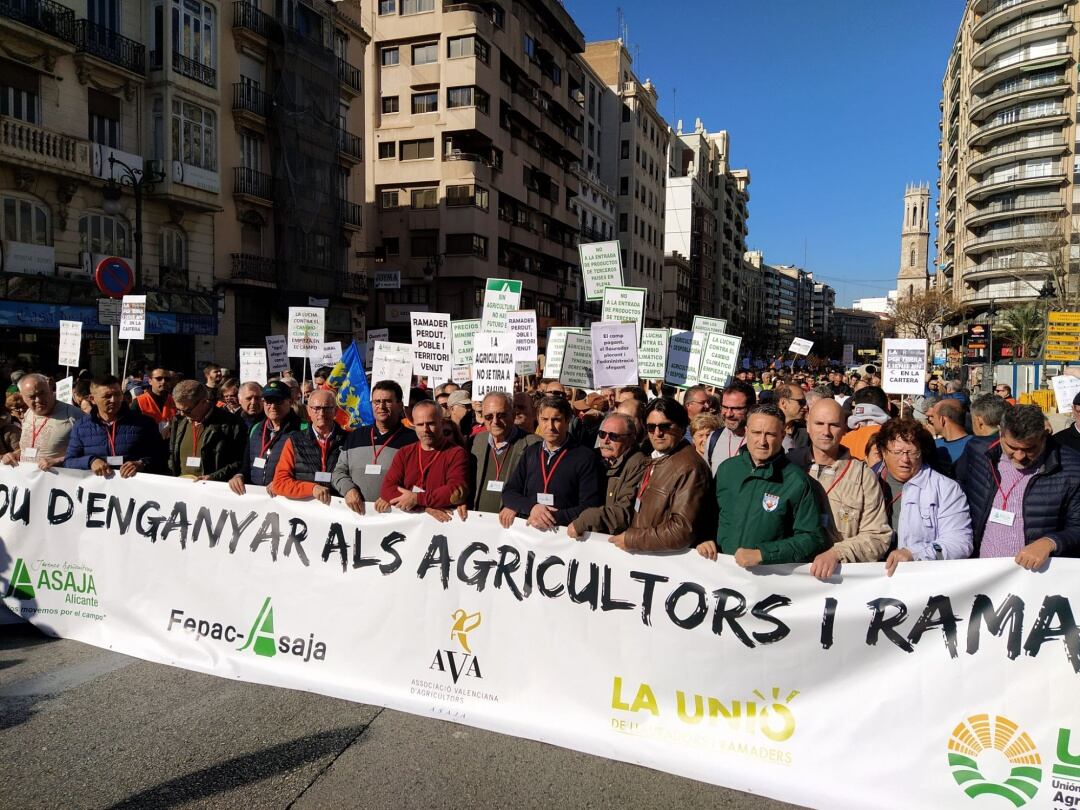 Els Manifestants als carrers de València