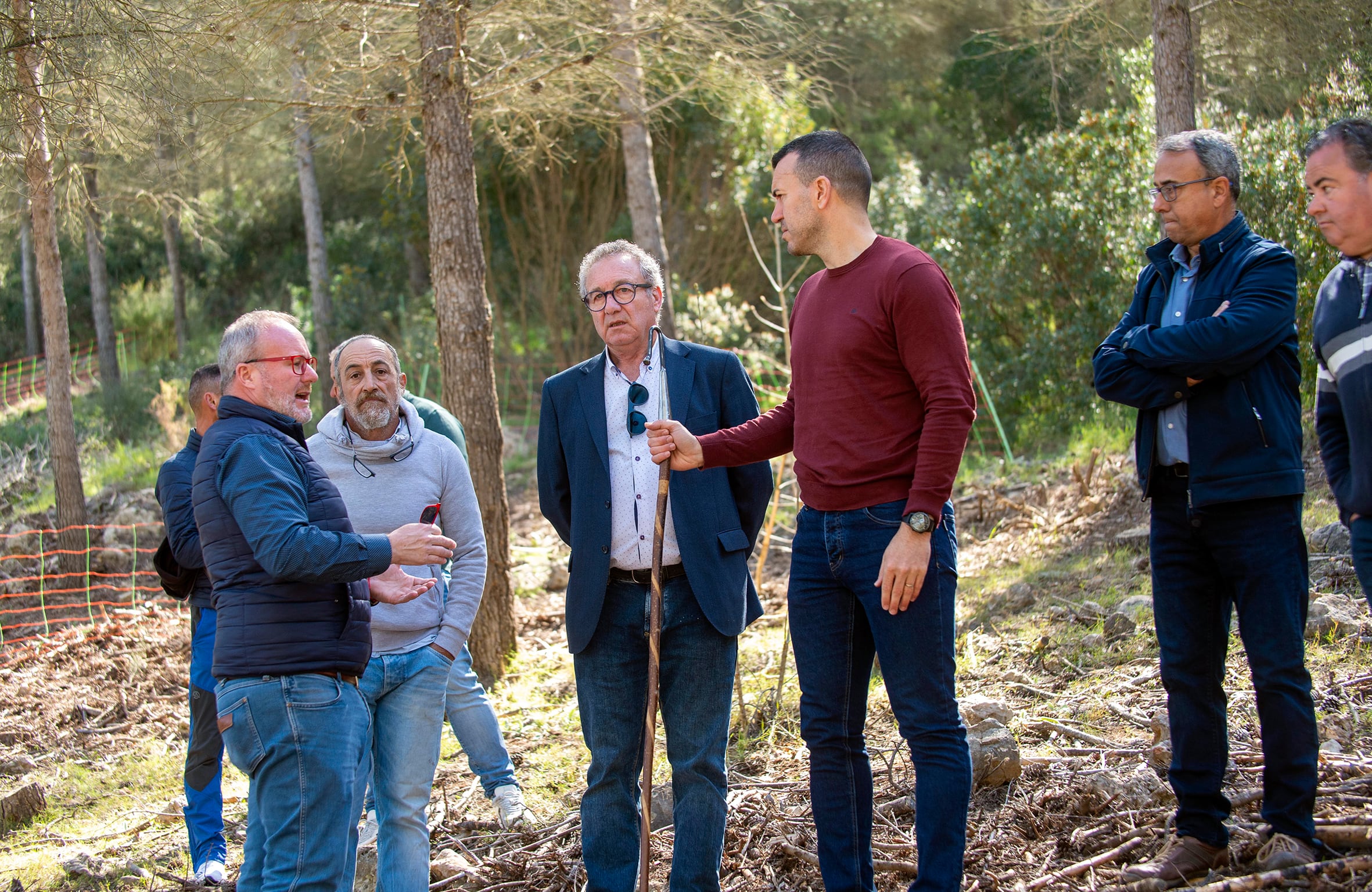 Representantes institucionales durante la visita al proyecto de silvopastoreo en la Vall d’Albaida, con la presencia de Ismael Sanvictor, Marcel Carrillo, el presidente de la Diputación, Vicent Mompó, el diputado Avelino Mascarell y otros responsables municipales.