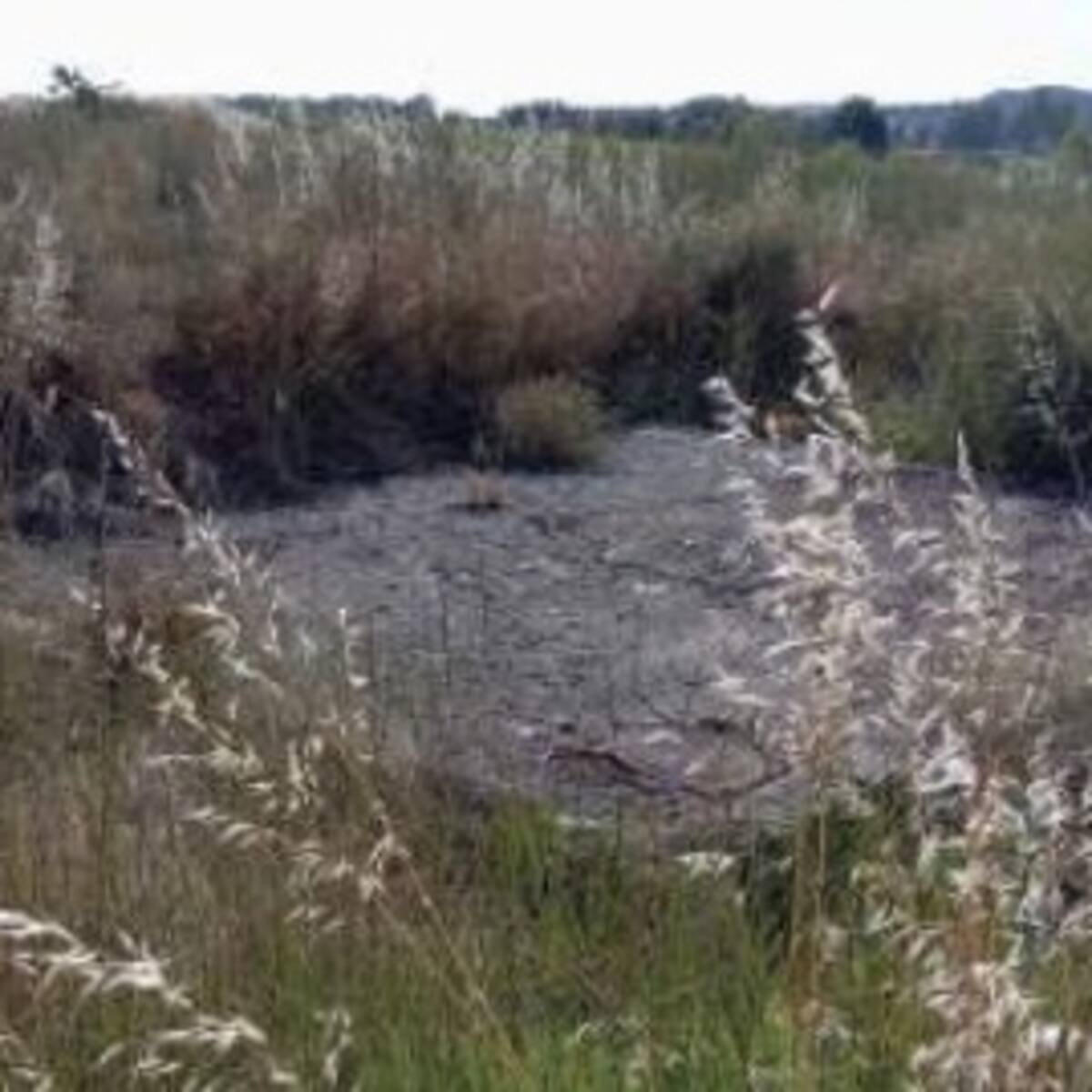 Sale a exposición pública el proyecto de la EDAR de Quintana del Pidio