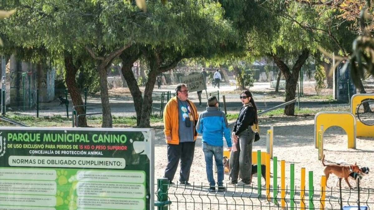 "Conexión animal": Aspectos legales y prácticos sobre la convivencia con animales en espacios públicos y privados.