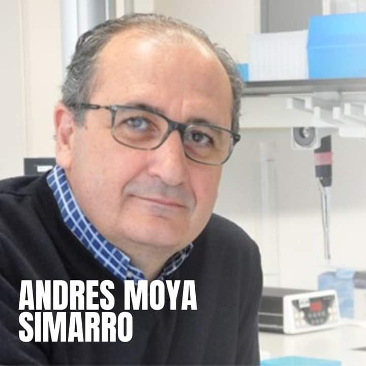 Andrés Moya Simarro