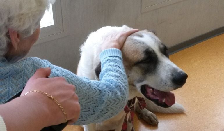 'Día' ya es una más en la familia de la residencia pinteña