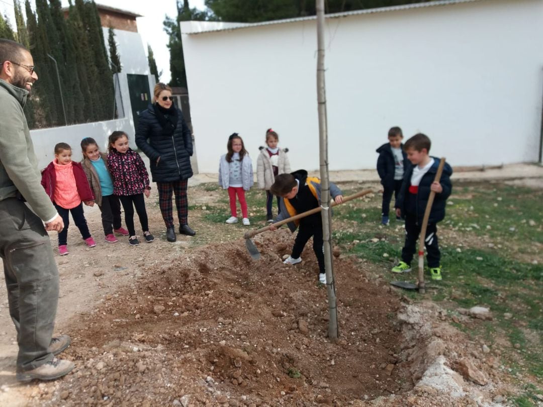 Momento en el que uno de los escolares de la EEI Antonio Machado, planta uno de los árboles