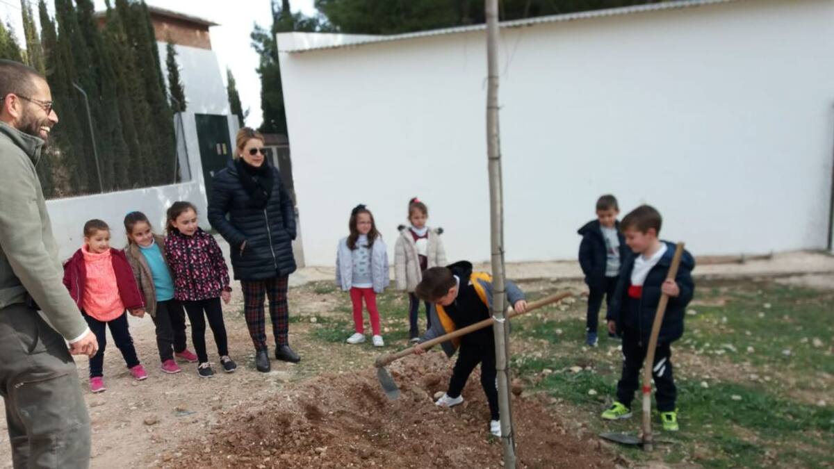 Reforestación del paraje El Portillo