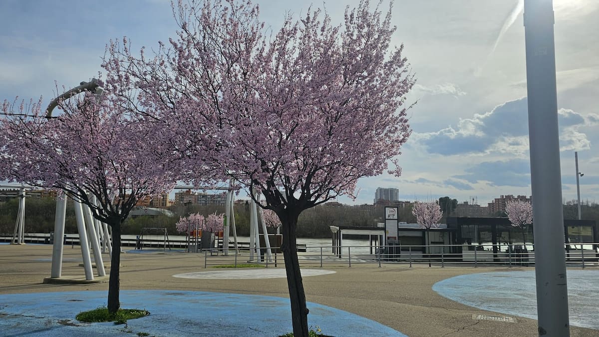 HxH y la primavera con Luis Ignacio Figols (14/03/24)