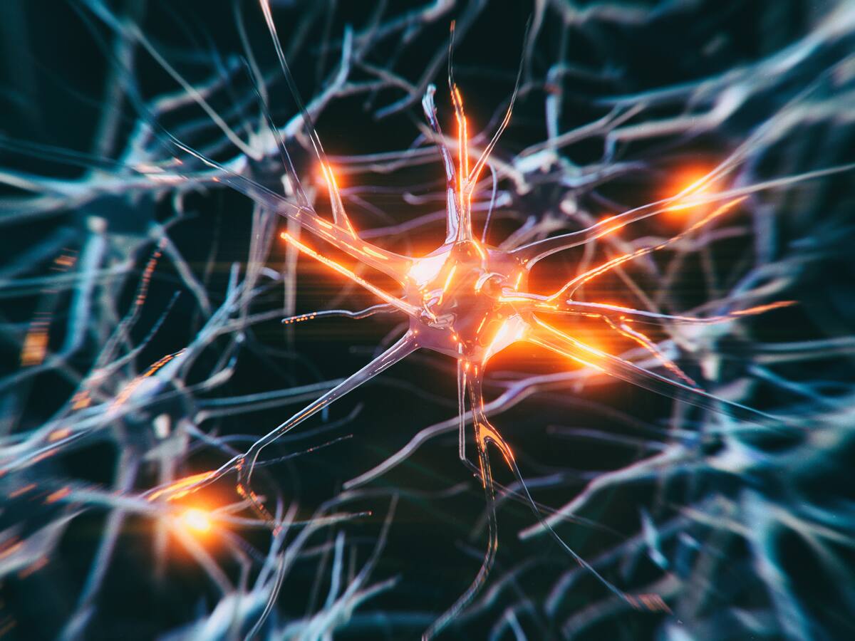 Tota una vida en alerta: l'epilèpsia, una malaltia socialment desconeguda