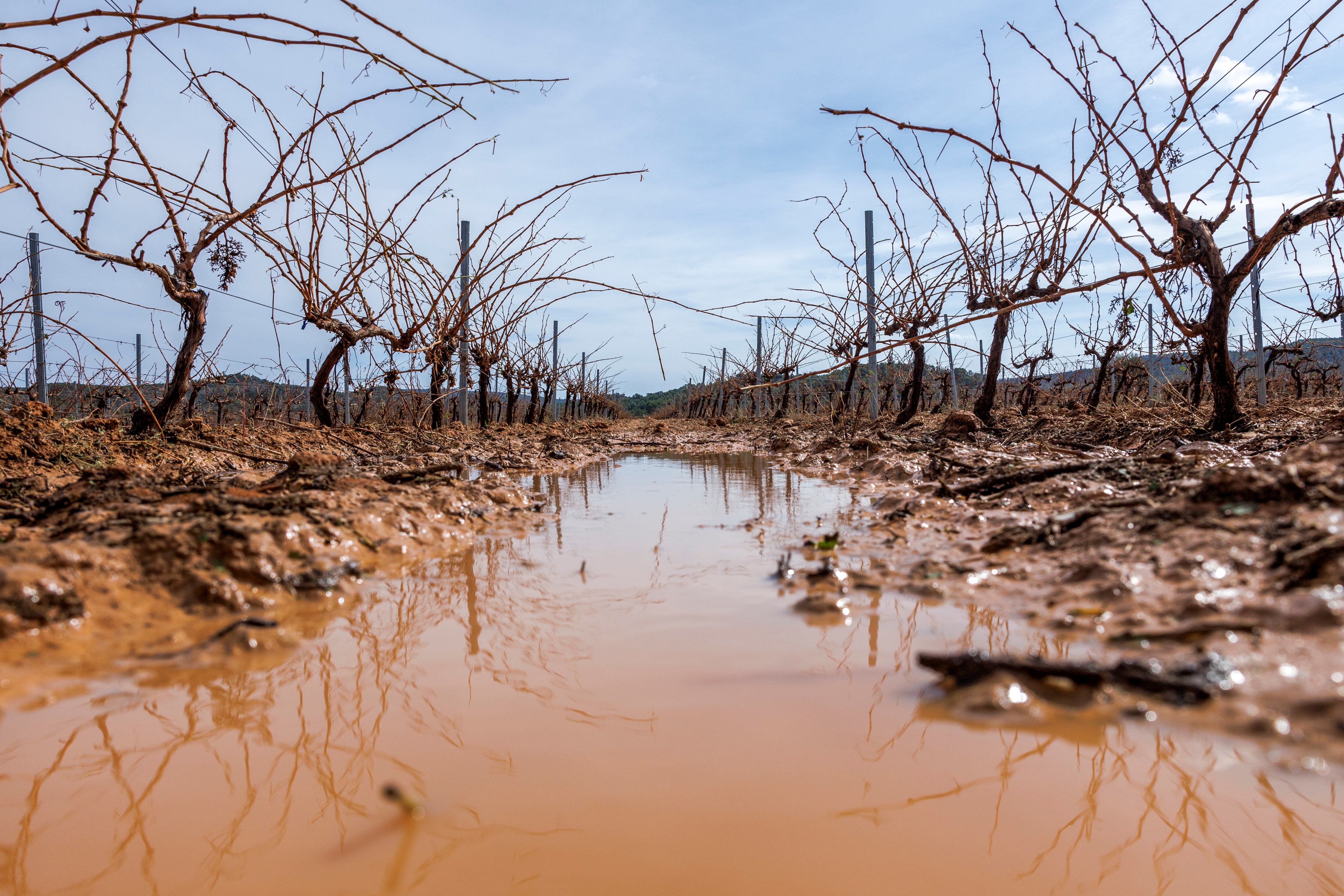 Campos afectados por las lluvias torrenciales.