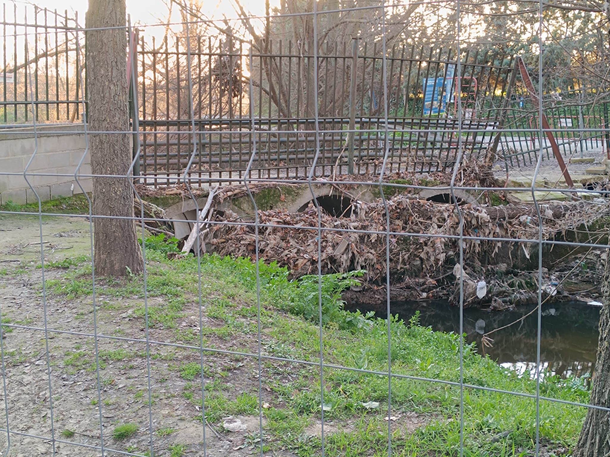 Situación en la que se encuentra el puente del Arroyo del Soto de Móstoles