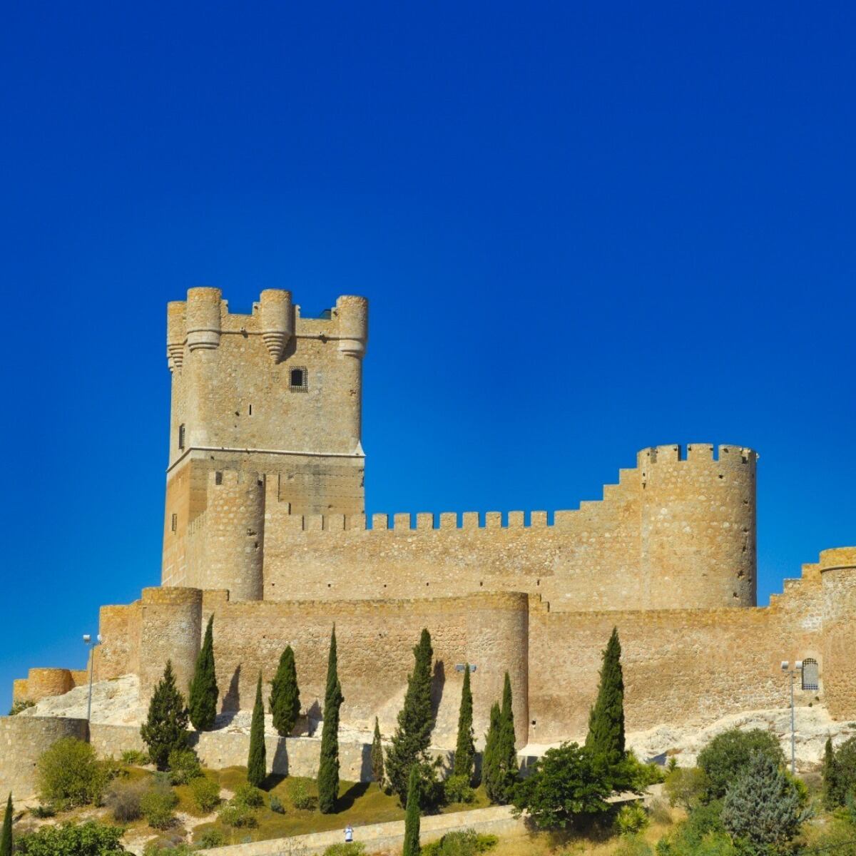 Castillo de la Atalaya. Villena