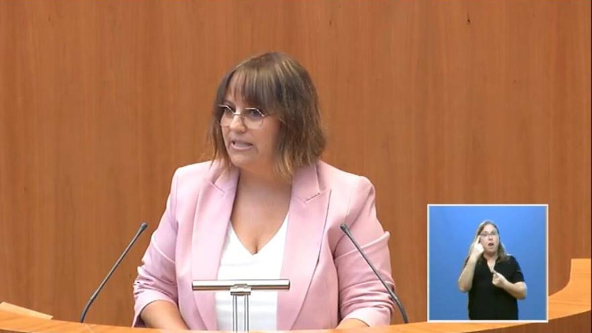 PP y Vox tumban 13 de las 15 propuestas de resolución presentadas por Soria ¡Ya! en el debate de la Comunidad