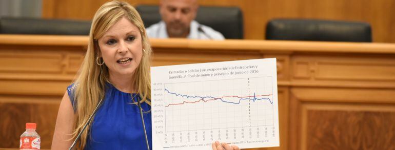 La consejera de Fomento, Elena de la Cruz, durante su intervención en el pleno de las Cortes donde se ha debatido sobre el Tajo