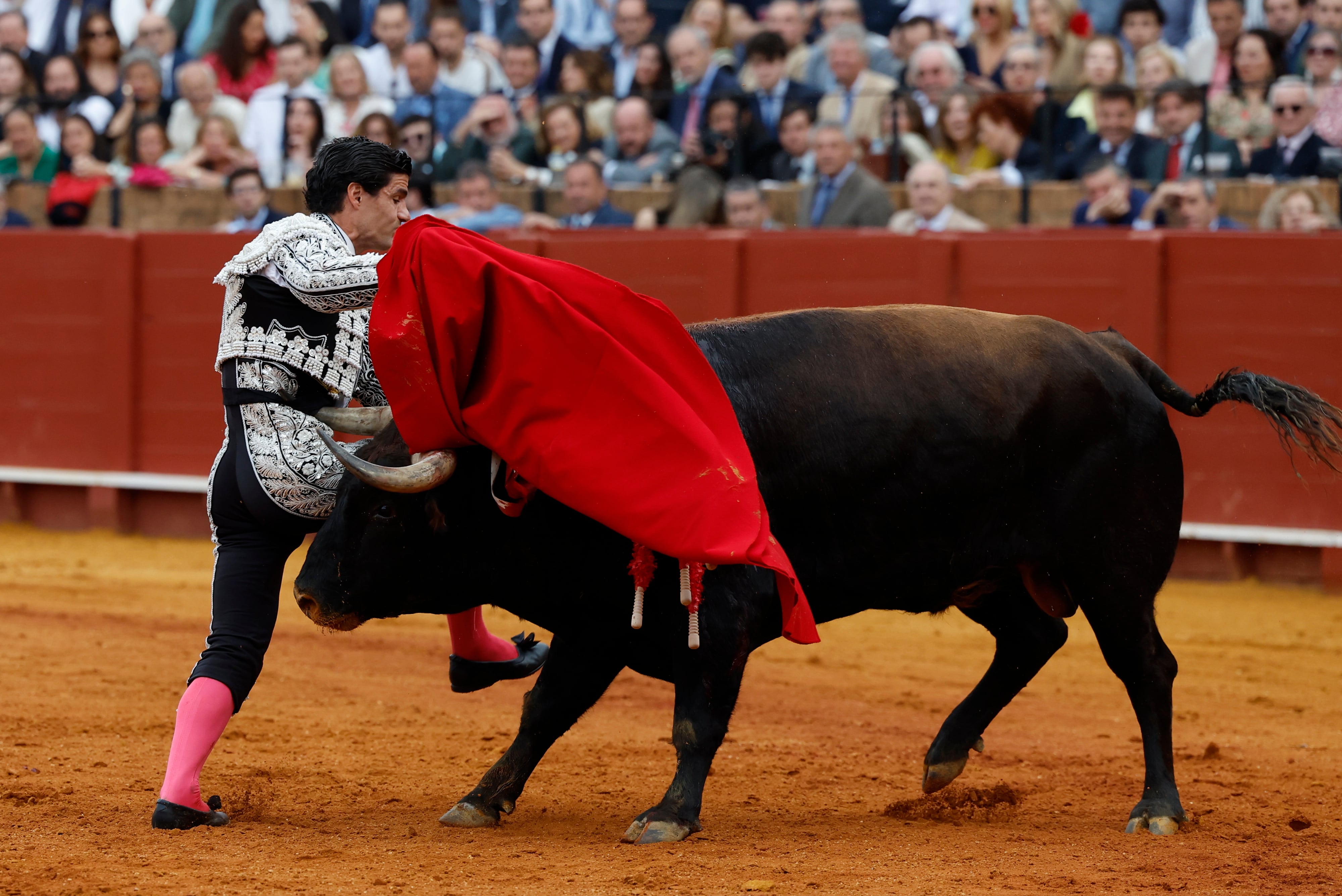 SEVILLA, 20/04/2024.- El diestro Pablo Aguado con su primer toro en el penúltimo festejo de la Feria de Abril, hoy sábado en la Real Maestranza de Sevilla, con toros de Victoriano del Río. EFE/ Julio Muñoz
