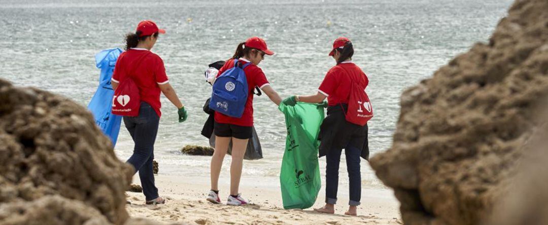 Recogida de residuos en las playas