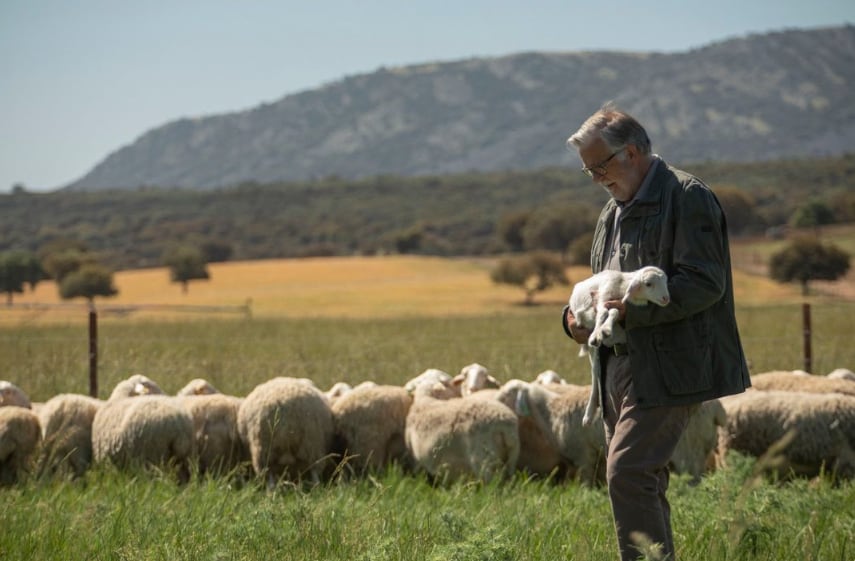 Cumplir con el bienestar animal les permite recolectar una leche de calidad y con unas propiedades organolépticas excepcionales