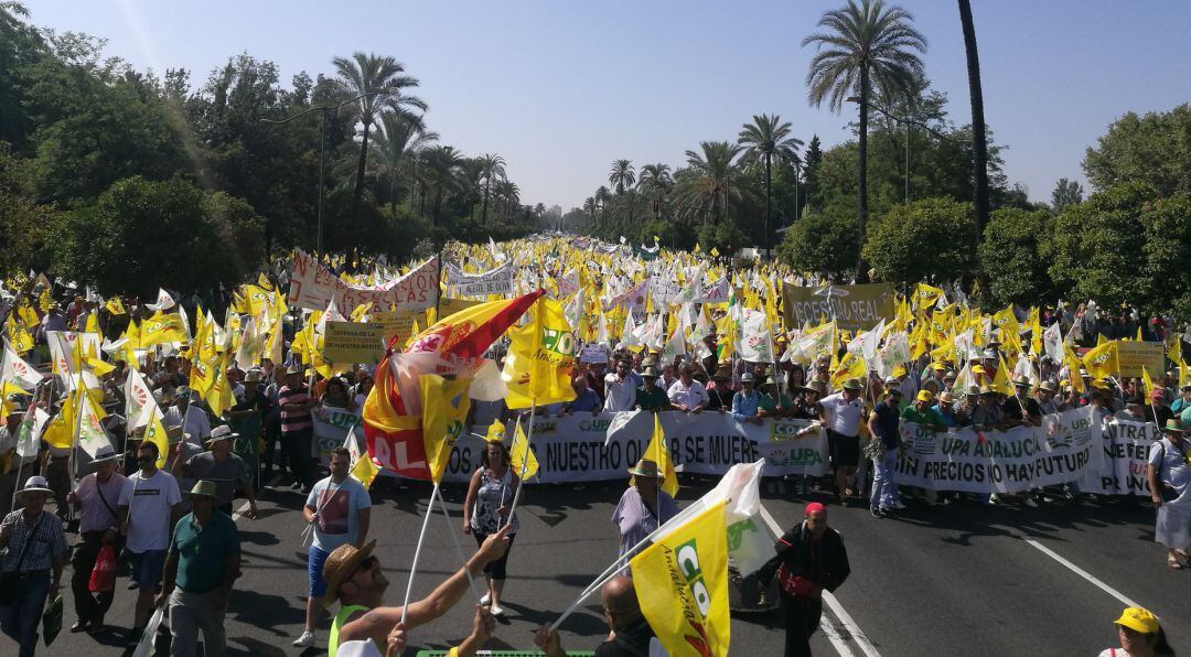 Manifestación organizada en Sevilla por las organizaciones agrarias.