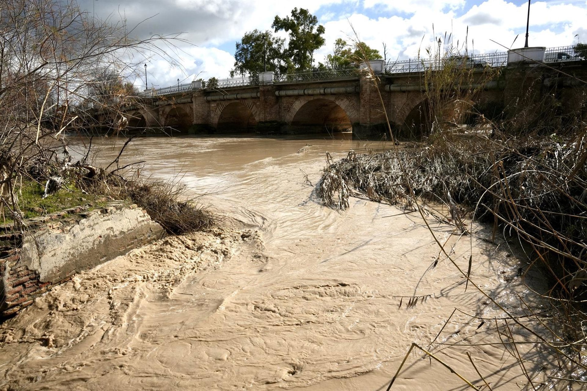 Vista general de la crecida del río Genil a su paso por la localidad de Écija. A 03 de febrero de 2026, en Écija, Sevilla