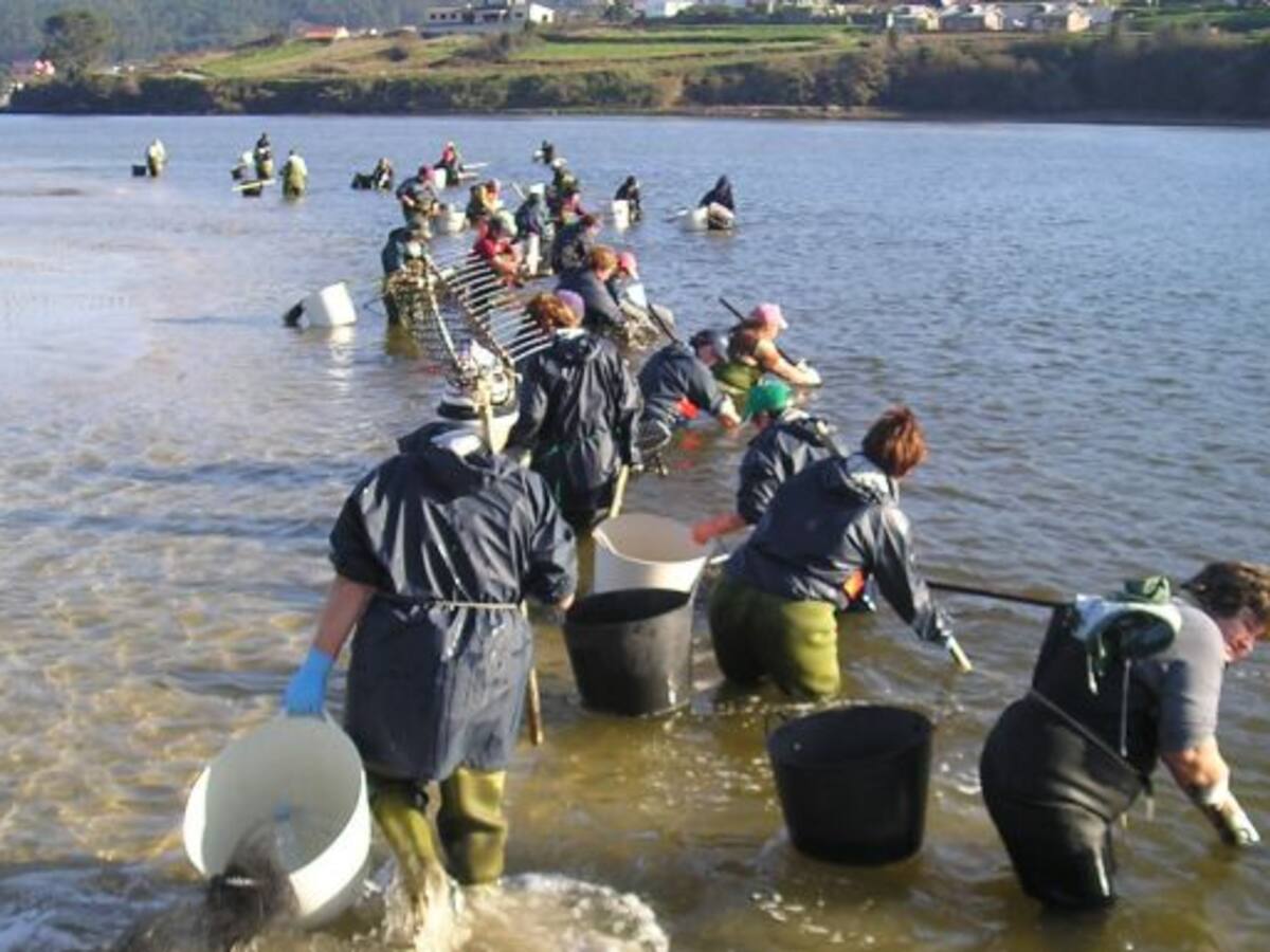 Mulleres do Mar de Arousa